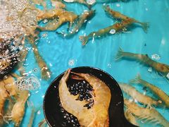 -阳光岛·海鲜盛宴(银泰中心in99店)