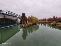 -乌村