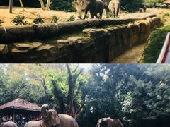 -西安秦岭野生动物园