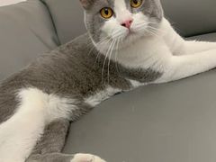 -客栈猫舍(中央北路店)