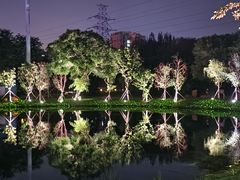 -万泉公园