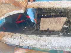 -兵哥豌豆面(雅颂居店)