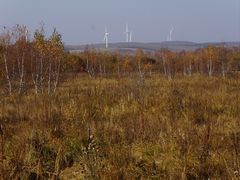 -塞罕坝国家级自然保护区