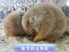 -海合安武汉极地海洋公园