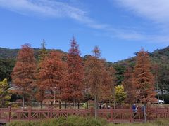 -广州市石门国家森林公园