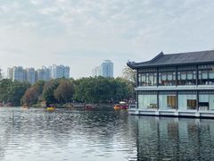 -荔湾湖公园