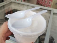-洪馨椰子