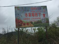 -普迪生态园