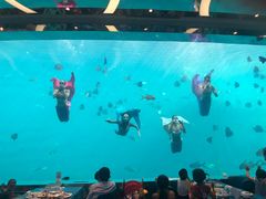 -瑞德姆美人鱼海底演艺主题餐厅(亚龙湾店)