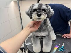 -帕帕拉兹宠物(亚洲旗舰店)