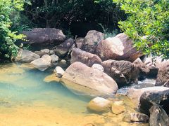 -广州白江湖森林公园