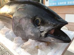 -清水湾3号(东方小周海鲜店)