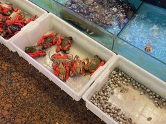 -御同亨酒楼·喜宴