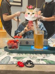 -可可丽舍