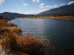-腾冲北海湿地