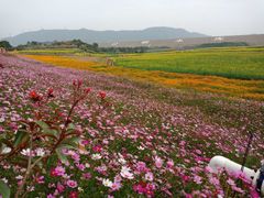 -光明小镇欢乐田园