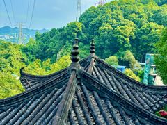 -巴倒烫陆派重庆火锅(南山店)