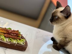 -喵园·猫主题咖啡厅·撸猫·猫咖(国贸店)