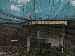 -九龙公园