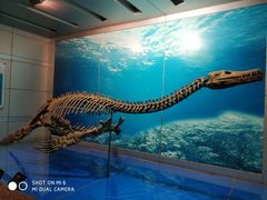 -自贡恐龙博物馆