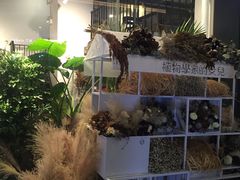 -植物学家的女儿(北马道巷店)