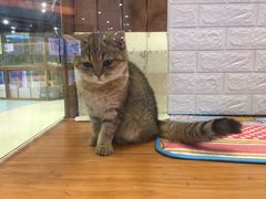 -龟与熊猫宠物公园(南坪店)