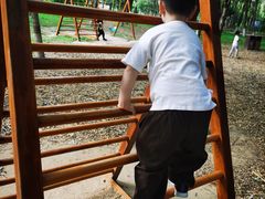 -大兴滨河森林公园