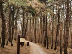 -帽儿山国家森林公园