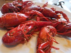 -嘉定凯悦·咖啡厅