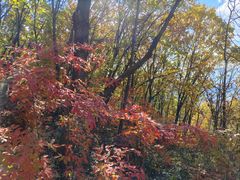 -五女峰国家森林公园