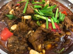 红烧土鸡锅-老虎土菜馆·农家土菜