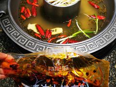 -杨肥肠火锅大排档(火车站花园店)