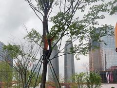 -Ministry of Crab•MOC(交子大道店)