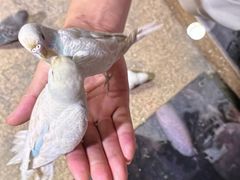 -嘉兴海底世界