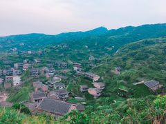 -枸杞岛