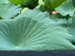 -兰亭风景区