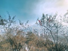 -望溪公园