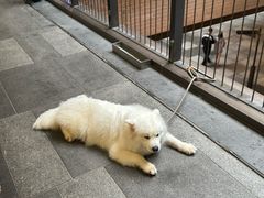 -瑞虹新天地月亮湾