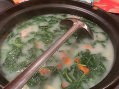 -羽鸽集·乳鸽专门店·地道顺德菜(岭南站店)