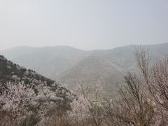 -北京鹫峰国家森林公园