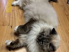 -剧狐剧本杀·月球探案馆(人民广场1号店)