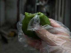 -文魁斋