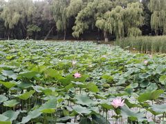 -云龙湖旅游景区