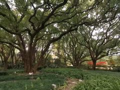 -上海兴国宾馆香樟园西餐厅
