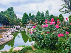 -庾园
