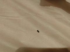 -兴芮温泉度假区