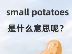 -I-Shine英语国际教育(大三林中心)