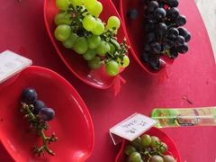 -马陆小张葡萄园农家乐