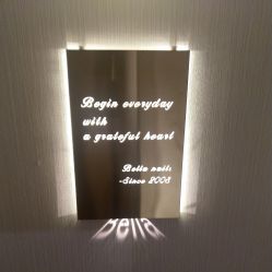 -BELLAREAL新美社
