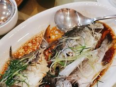 -益利大酒楼(井岸店)